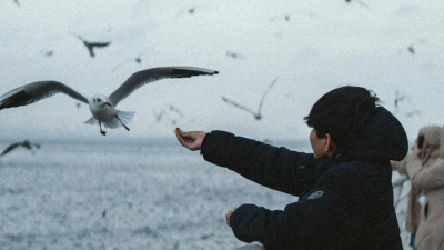 Каспий активно мелеет: назван уровень воды до 2050 года