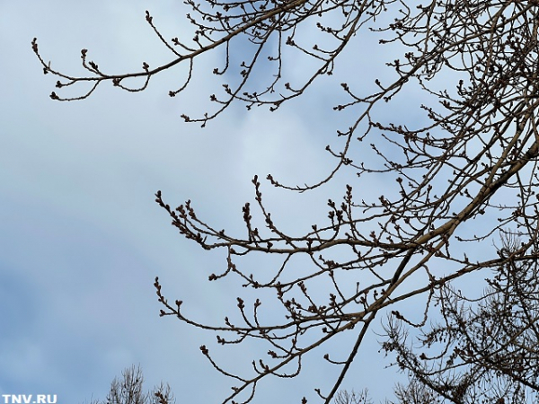 Рекорд за рекордом: в Казани четвертые сутки теплеет до небывалых значений