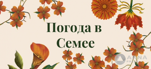 Прогноз погоды в Семее на Arnapress: 01.07.24 – 05.07.24