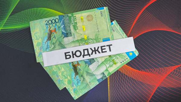 Нацкомпании не должны быть иждивенцами бюджета - депутат