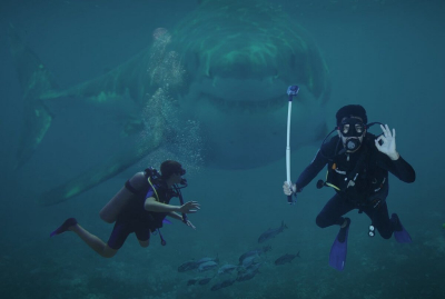 Акула напала на туристку во время снорклинга на Мальдивах