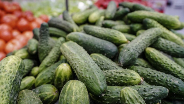 Огурцы подешевели, помидоры подорожали: как изменились цены в Татарстане за неделю 20/03/2026 &ndash; Новости