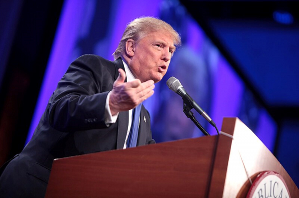 Каргин: Трамп дал себе возможность воевать без одобрения конгресса