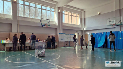 Как проголосовать на референдуме по строительству АЭС?