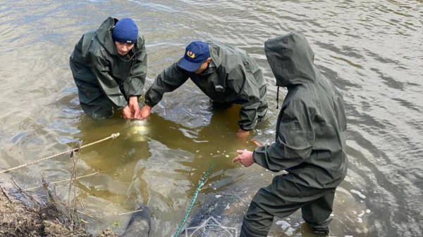 В Атырауской области контролируется качество питевой воды