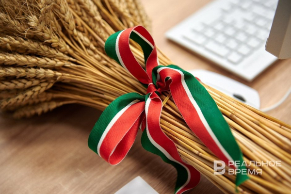 На модернизацию информационной системы АПК Татарстан выделит 27 млн рублей