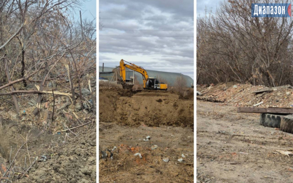 На реке Жинишке уничтожили деревья, чтобы защитить дома от паводка