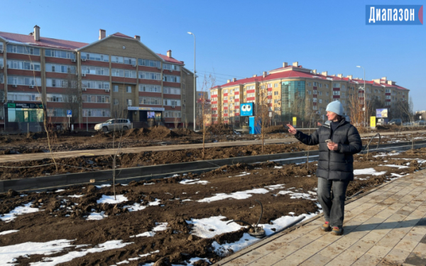 Более 300 саженцев посадили в новом парке