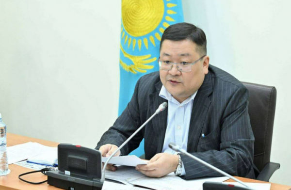 Однопалатный парламент — какой будет власть в Казахстане