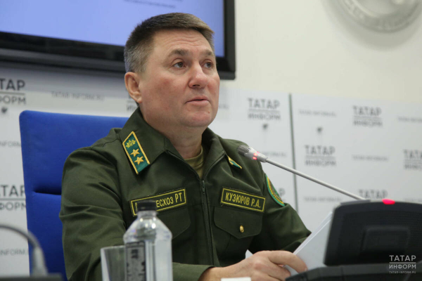 Равиль Кузюров: Поправки в Лесной кодекс по инициативе РТ дадут экономический эффект