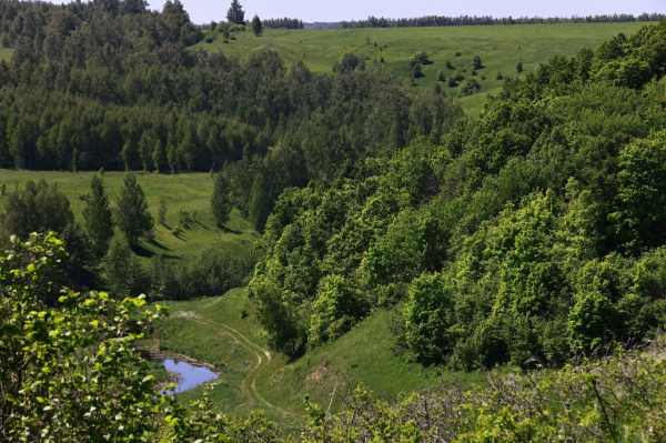 Более серьезная, чем обычно, пожарная опасность ожидается в мае в Татарстане