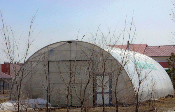 Теплицу для школьников построили в селе