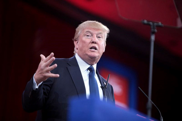 Историк Платошкин заявил, что Трамп понимает только язык силы