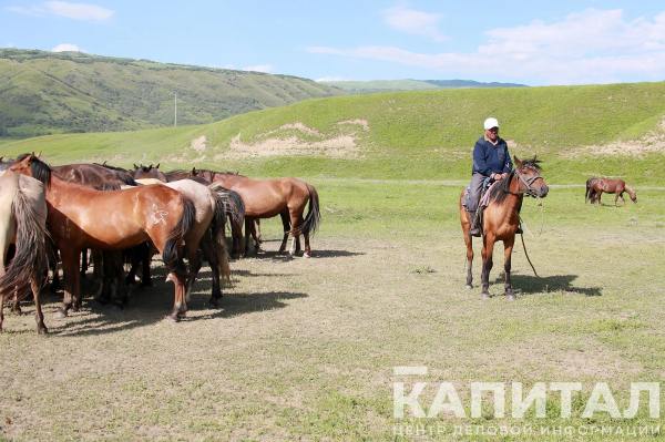 НПП предлагает внедрить японскую программу развития регионов