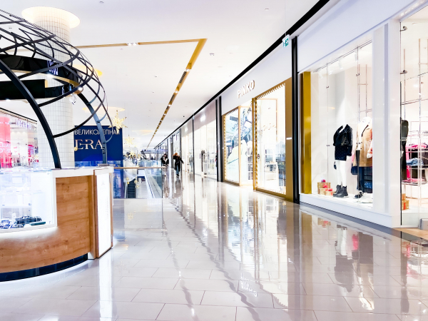 Дикий кабан на несколько часов захватил ТЦ в Берлине, людей эвакуировали