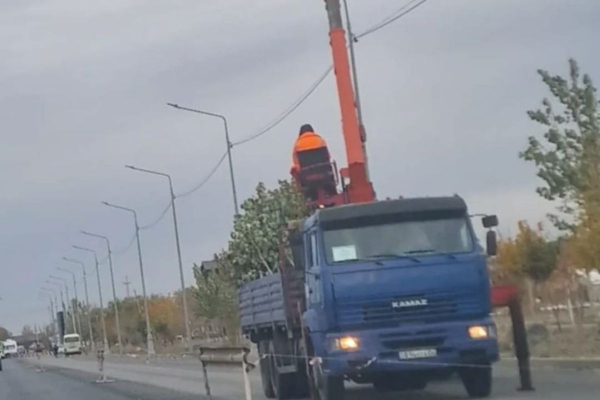 Деревья на трассе к аэропорту в Атырау меняют прописку