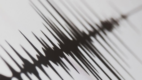 Землетрясение в Талдыкоргане обошлось без разрушений