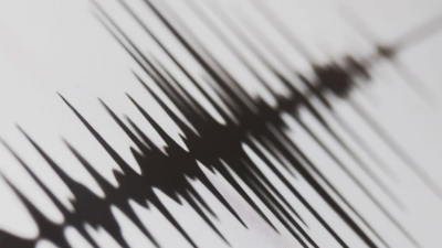 Землетрясение в Талдыкоргане обошлось без разрушений