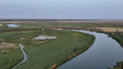 1,5 млрд кубометров воды направили по реке Шу в Созакский район Туркестанской области