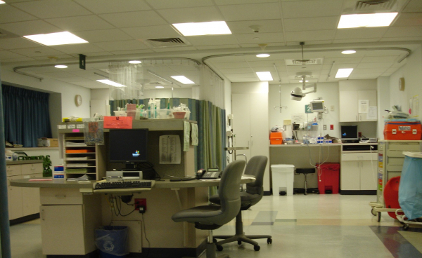 Роспотребнадзор: заболевшего оспой обезьян в Подмосковье поместили в стационар