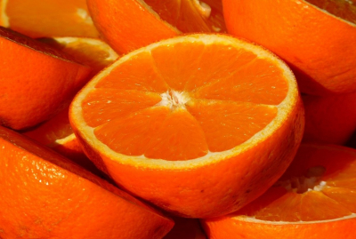 Правительство РК не поддержало законопроект по вопросам поддержки отечественных товаропроизводителей