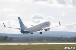 Трамп: самолет FlyDubai спас сантехник, насмотревшийся шоу про авиакатастрофы