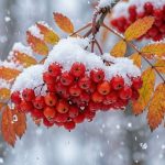 Скользко и снежно: погода выходных в Татарстане