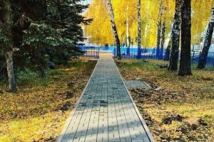 В Татарстане 8 октября будет тепло с прояснениями