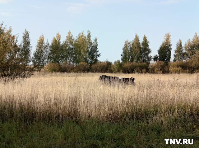 Удивительный октябрь: волна тепла до +19 градусов накроет Татарстан