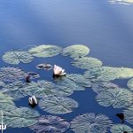 20-градусное тепло и дожди ждут Татарстан в выходные